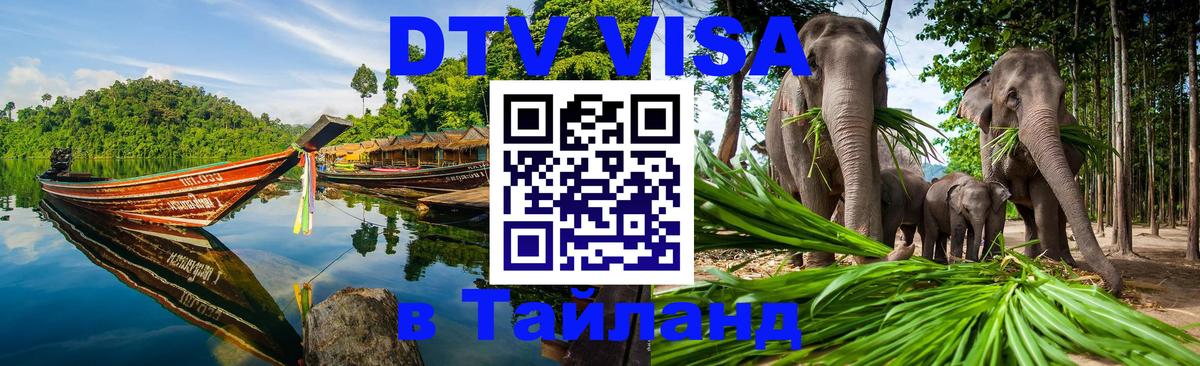 Оформление DTV визы под ключ: стоимость и тарифы, только загранпаспорт - 20.11.2025 